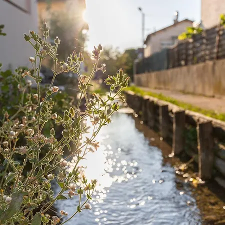 Spacieux 1 Parking Gratuit Apartment *